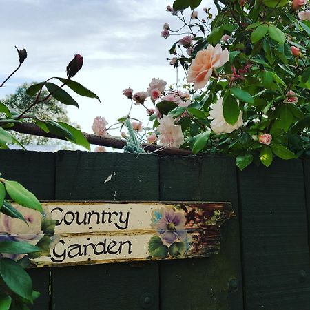 Dragonflycottagebnb Grovetown Extérieur photo