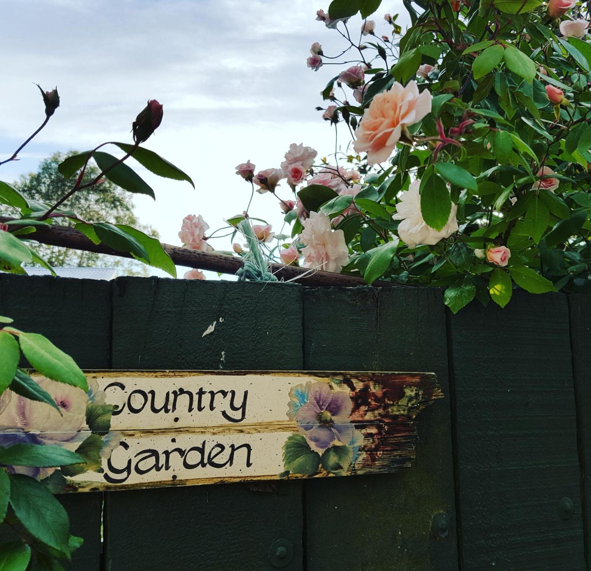 Dragonflycottagebnb Grovetown Extérieur photo