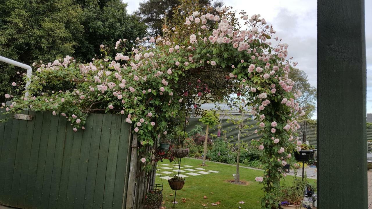 Dragonflycottagebnb Grovetown Extérieur photo