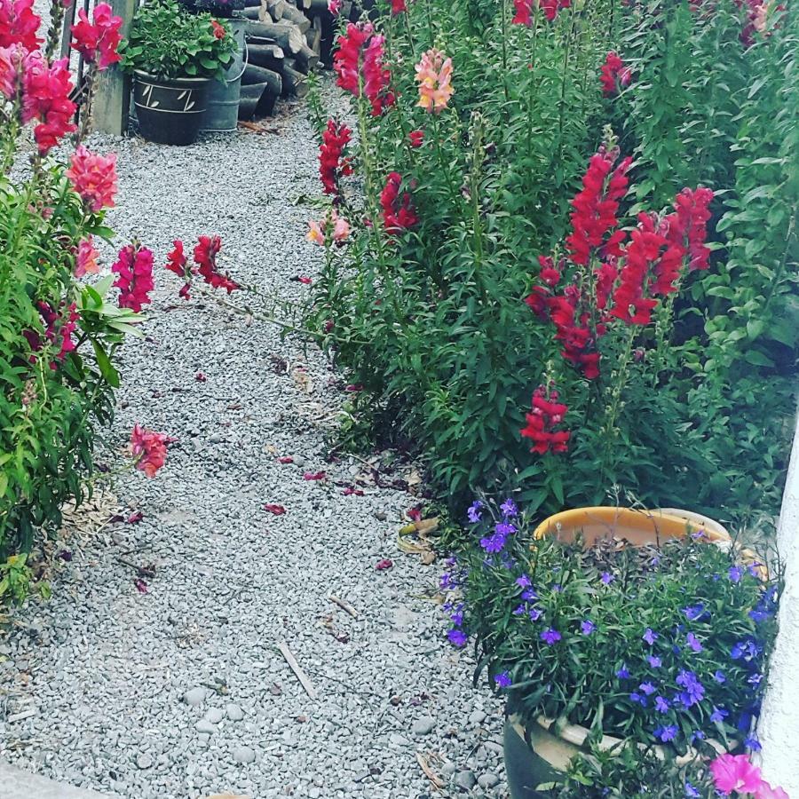 Dragonflycottagebnb Grovetown Extérieur photo