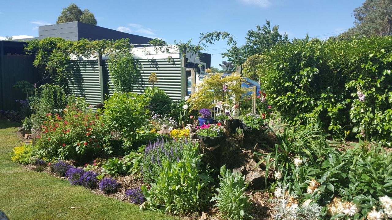 Dragonflycottagebnb Grovetown Extérieur photo
