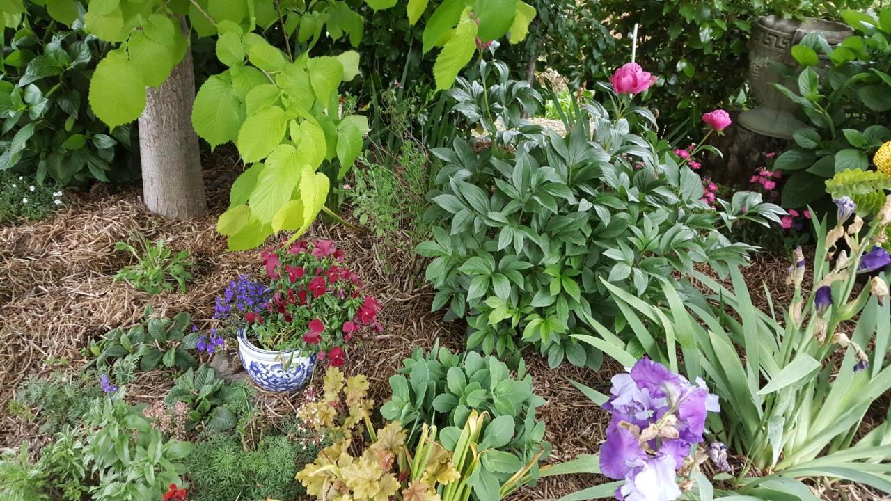 Dragonflycottagebnb Grovetown Extérieur photo
